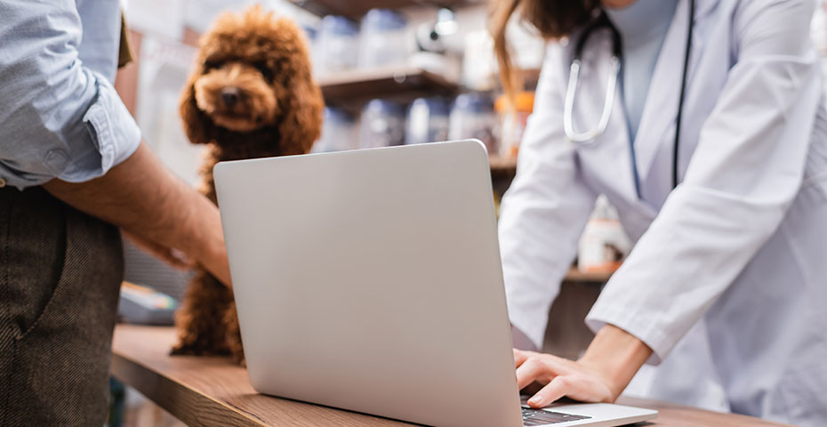 Google Ads for Veterinary Clinics and Hospitals