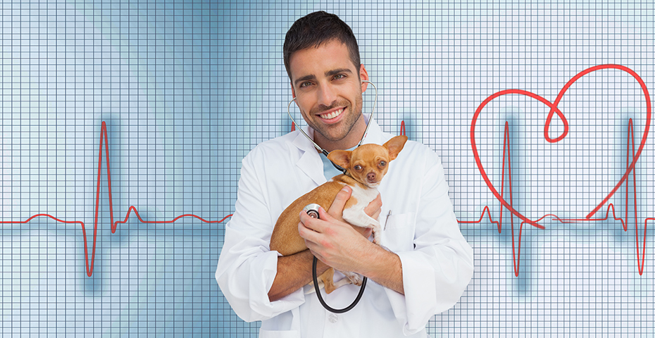 Veterinary Trends and Opportunities