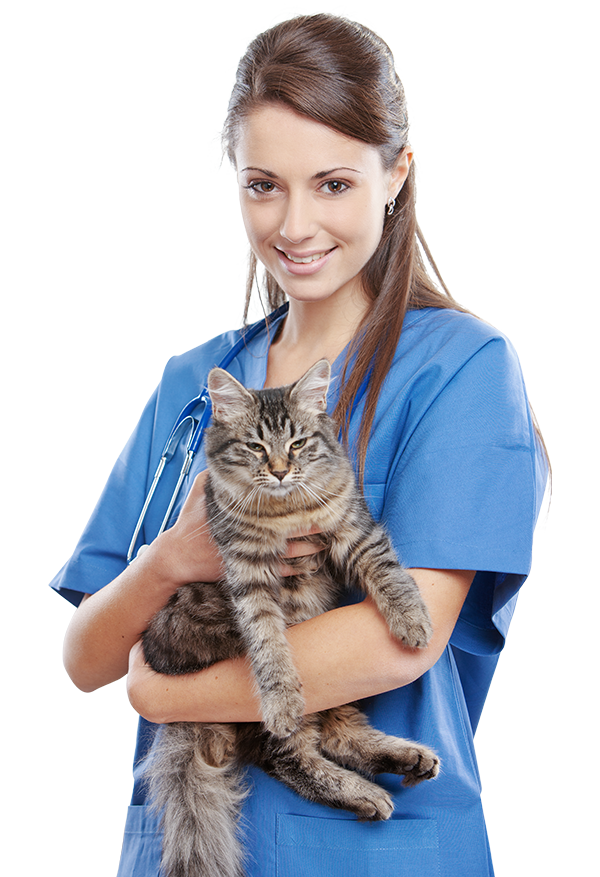 Veterinary Marketing Services