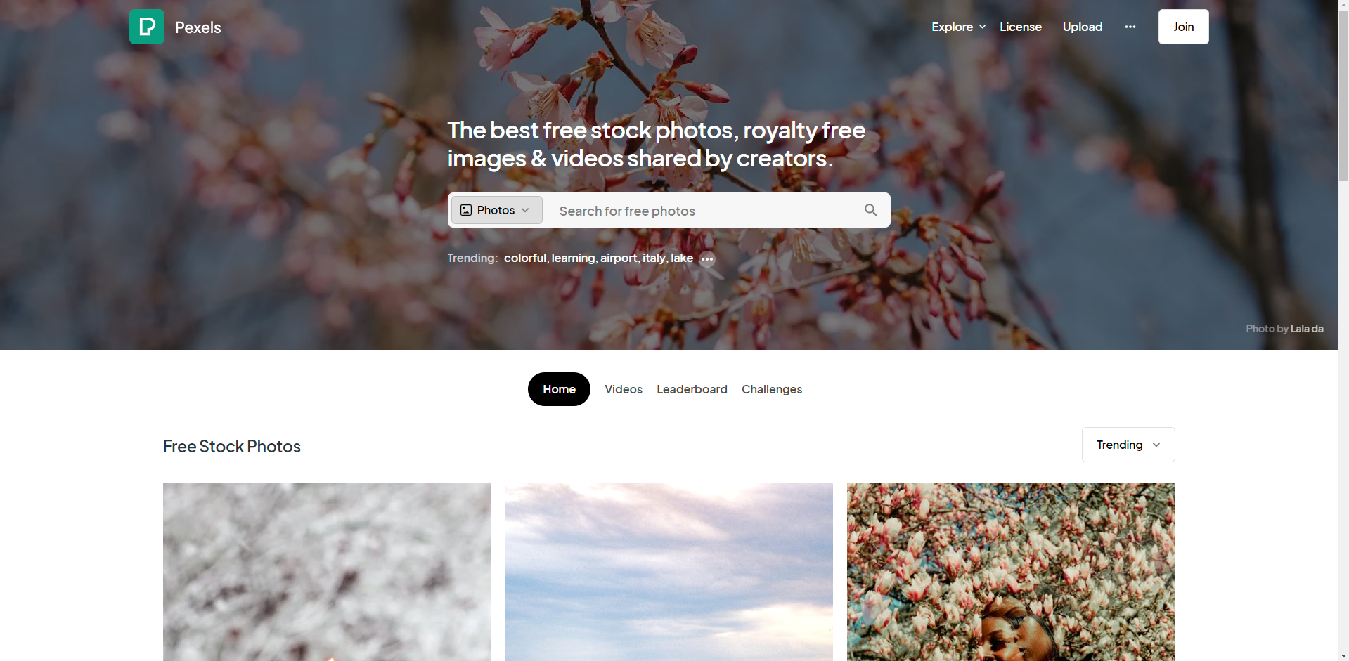 Pexels Brochure Images